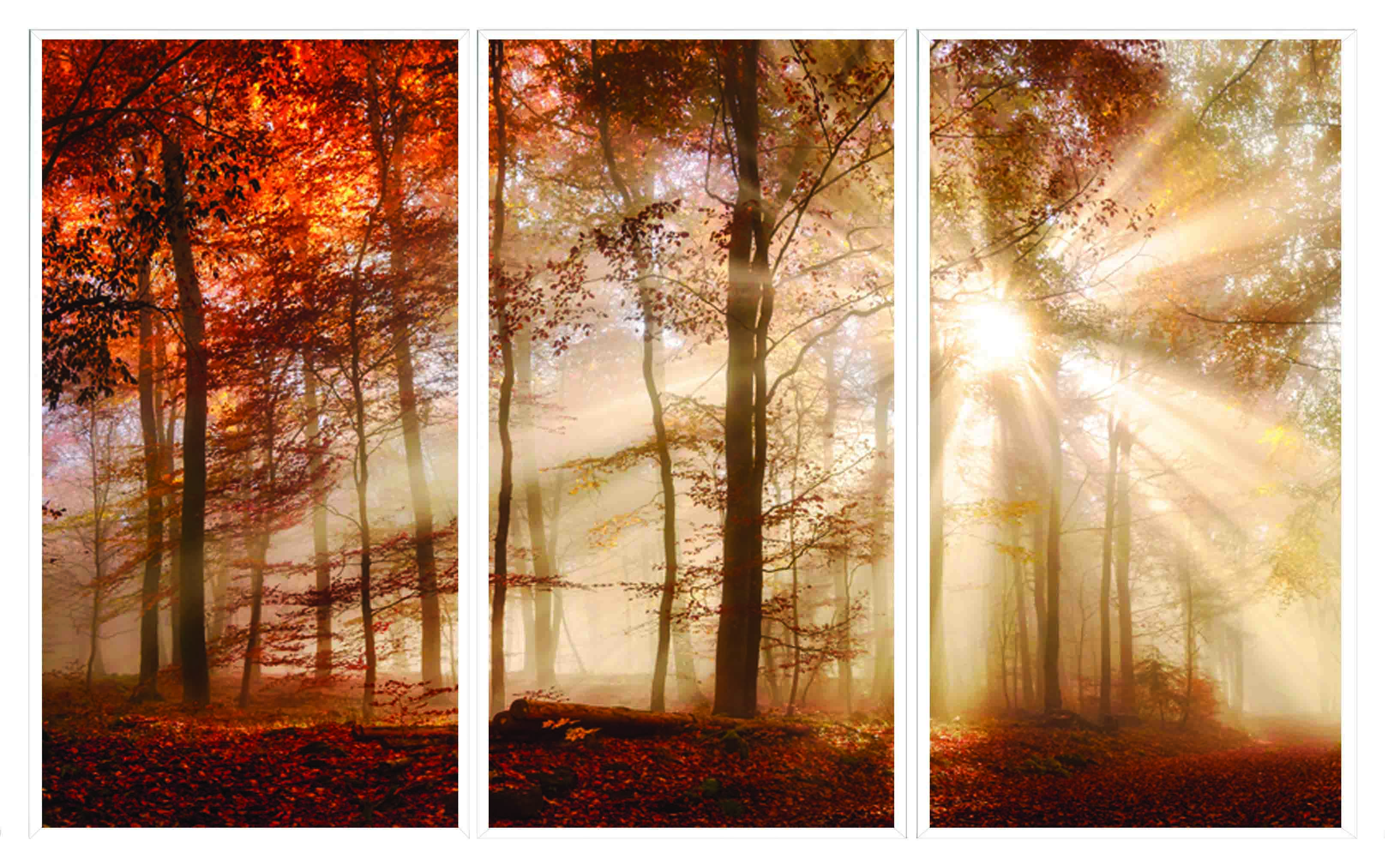 ASG447 Wall décor art printed on glass landscape set of 3